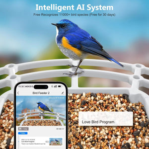 Chirpyq Smart Fuglemater