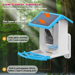 Chirpyq Smart Fuglemater