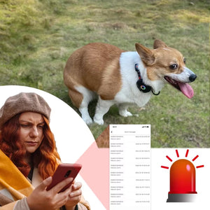 CatMaxe kattehalsbånd Med GPS