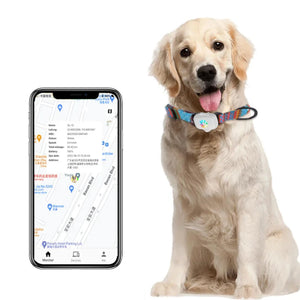 CatMaxe kattehalsbånd Med GPS