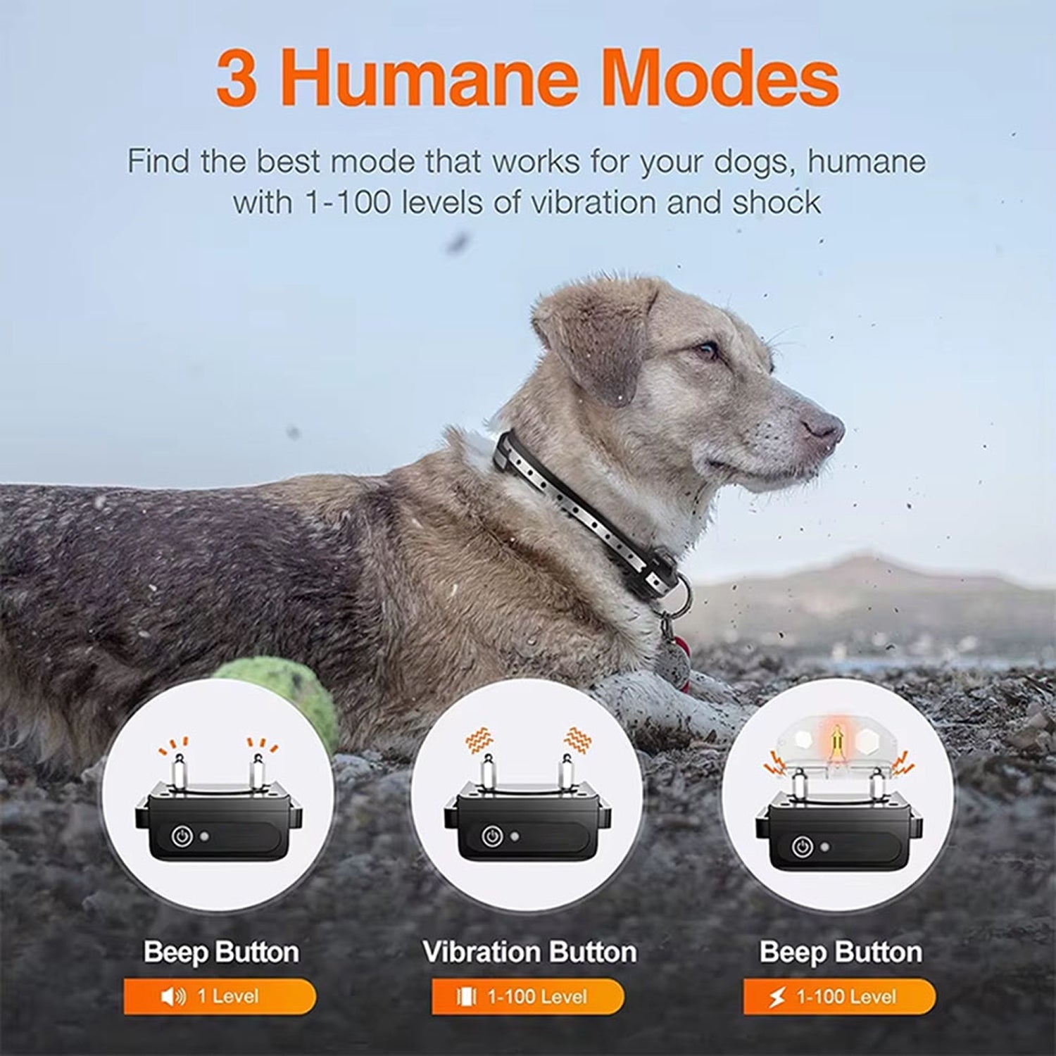 Pawtopie Hundetreningshalsbånd