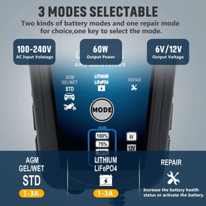 Voltebax Battery Maintainer